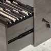 Manhattan Gate 4 Drawer Executive Desk Mystic Oak - Sauder - 3 of 4