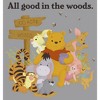 Boy's Winnie the Pooh All Good in the Woods Pull Over Hoodie - 2 of 4