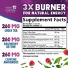 Green Tea Extract Pills - 98% Standardized EGCG 1300mg 3X Strength for Natural Energy - Supports Heart & Antioxidant Health Herbal - 60 Capsules - 2 of 4