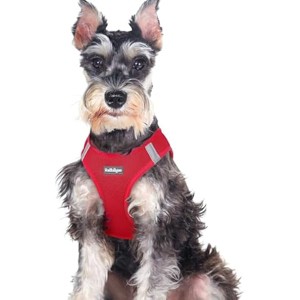 rabbitgoo Small Dog Harness, Step-in Soft Mesh Reflective Pet Harness for Large Dogs, Red XXL - 1 of 1