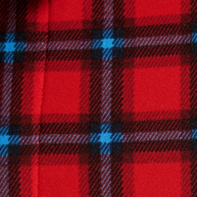 fun red plaid