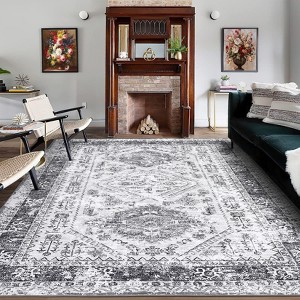 COZONY Large Area Rug - Washable Boho Vintage Distressed, Stain Resistant Non Slip Low Pile Accent Rug for High Traffic - 1 of 4
