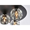 Elegant Lighting Graham 5 - Light Flush Mount in  Black - 3 of 4