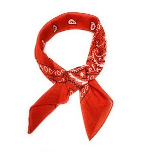Pack of 20 Paisley Ribbon Scarf Cotton Neck Foulard for Women - 1 of 4