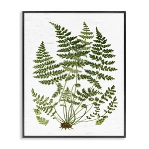 Stupell Industries Forest Botanicals Charming White Willow Greenery Framed Giclee Art - 1 of 4