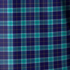 tidal green plaid