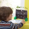 Educational Insights Sprout And Grow Window - 2 of 4