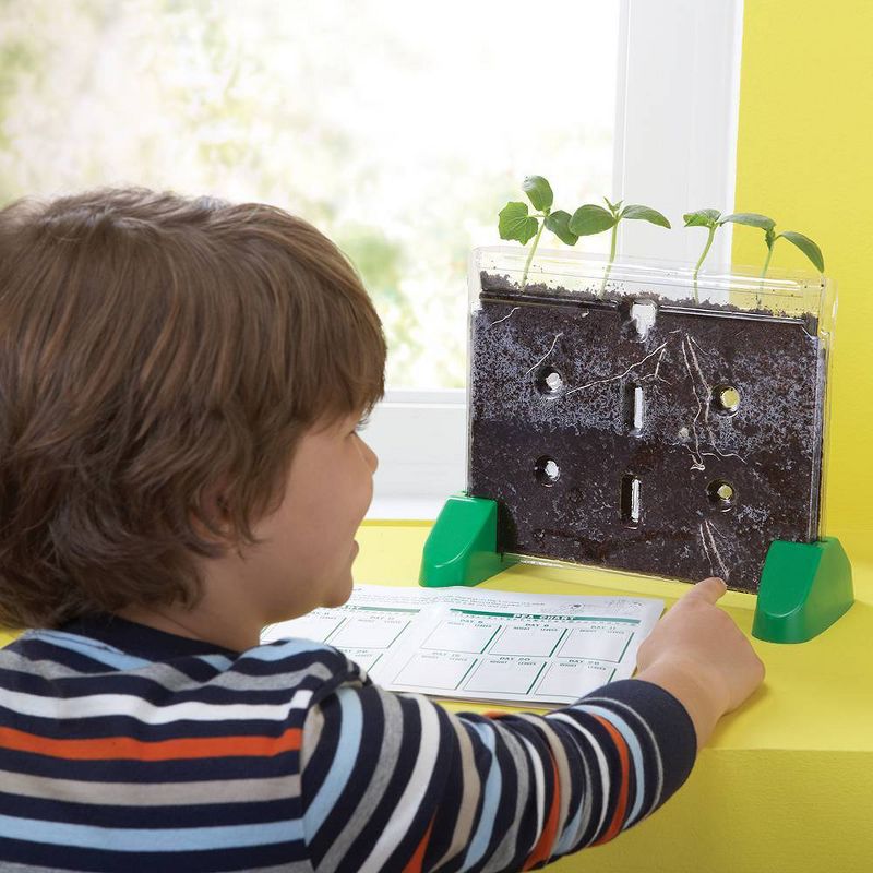 Educational Insights Sprout And Grow Window, 3 of 7