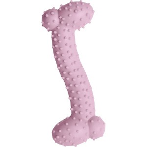 Snugarooz Lil Baby Bone Eco Tpr Dog Toy in Pink - 1 of 1