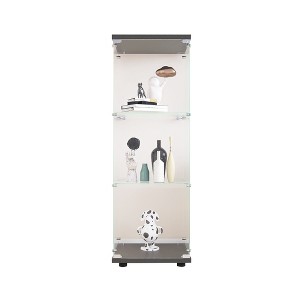 VYNXARIA Black Standing Glass Bookshelf with 3 Shelves, One Door: Ideal for Multiple Spaces - 1 of 4