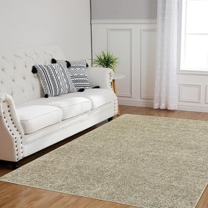 Acekool Shaggy Plush Area Rugs - 1 of 4