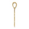 Black Bow Jewelry 14k Yellow Gold Flat Lion Head Pendant, 13 x 25mm (1/2 x 1 Inch) - 2 of 4