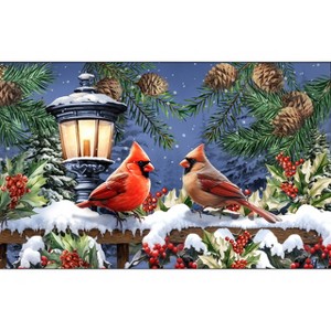 Briarwood Lane Winter Doormat 30x18 Indoor Outdoor Winter Glow Cardinals For Winter Doormat - 1 of 4