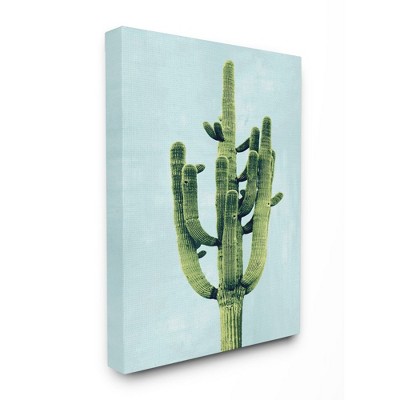 Stupell Industries Pop Desert Cactus Plant Vintage Succulent Blue Green