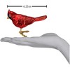 Old World Christmas Blown Glass Ornament for Christmas Tree, Red Northern Cardinal - 2 of 2