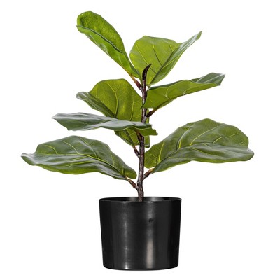 15 x 10 Artificial Fiddle Leaf Plant in Pot - Threshold