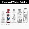 Bai Flavored Water, Brasilia Blueberry, Antioxidant Infused Drinks, 18 Fluid Ounce Bottle (Pack of 12) Brasilia Blueberry 18 Fl Oz (Pack of 12) - 3 of 4