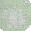 Mint Green And Ivory Abstract Washable Indoor Outdoor Area Rug - 4 of 4