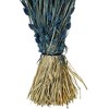 Vickerman 26" Dried Phalaris Bunch, 7 oz - 3 of 4