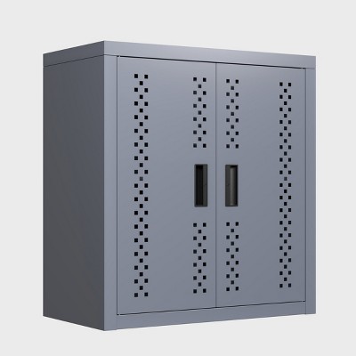 GlasFlength Decorative Storage Cabinets Metal Storage 2 Doors Tool Storage Cabinet Steel Storage Cabinet for Workshop, Gray, 27.95"*25.98"*13.77"