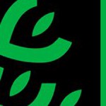 austin fc