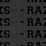 arkansas razorbacks