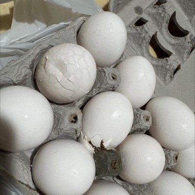 Guest review image 1 of 2, zoom in