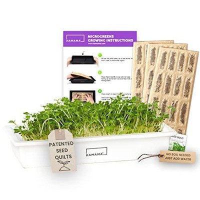 HAMAMA Microgreens Growing Kit - Sprouts Growing Kit, Grow Microgreens Indoor, Microgreens Starter Kit with CERAMIC Tray
