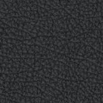 tampa bay buccaneers