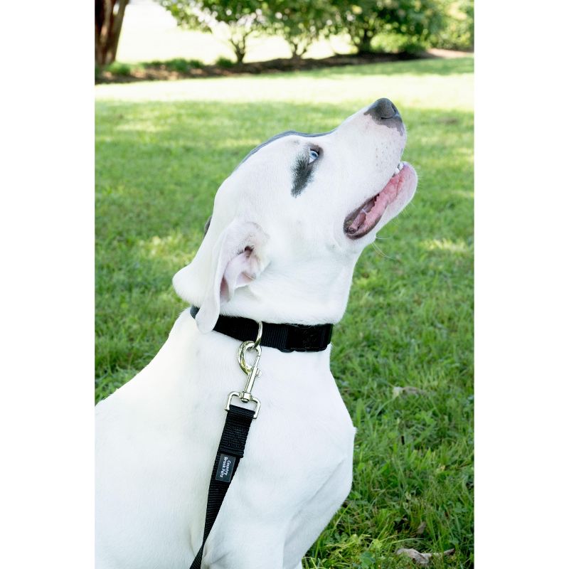 Country Brook Petz - American Made Deluxe Black Nylon Dog Collar, Mini, 2 of 9