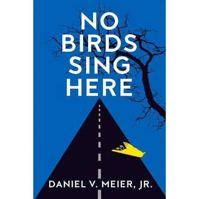 No Birds Sing Here - by  Daniel V Meier (Paperback)