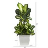 Nearly Natural 46-in Golden Dieffenbachia Artificial Plant in White Metal Planter - 2 of 4