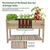 SEVOBAL Planters Raised Garden Bed with Legs and Storage Shelf for Elevated Vegetable and Herb Growing, Brown, 48.5"*30"*24.4" - 2 of 4