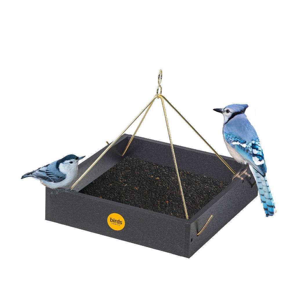 Bird Choice Small Modern Farmhouse Hanging Platform Tray Bird Feeder 2.5" Black