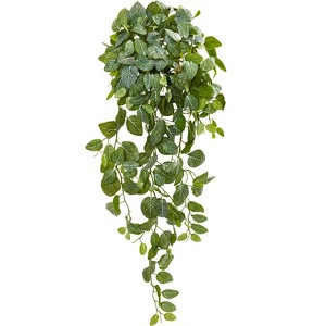 Nearly Natural 36-in Fittonia Hanging Bush Artificial Plant (Set of 2) (Real Touch) - 1 of 2