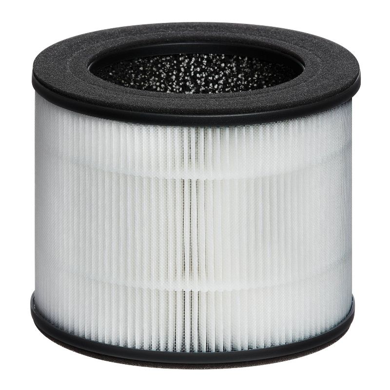 Homedics Replacement HEPA-type filter for AP-T10 and AP-T12, 1 of 6