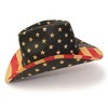 Western Express Red Brown and Blue Americana Straw Western Hat - 4 of 4