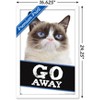 Trends International Grumpy Cat - Go Away Framed Wall Poster Prints - 3 of 4