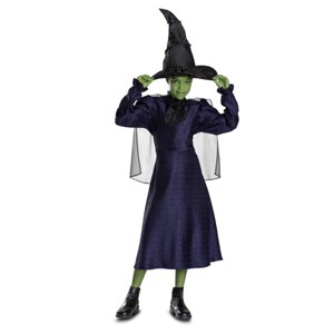 NBCUniversal Girls' Wicked the Musical Elphaba Classic Costume Dress Dark Purple - 1 of 4