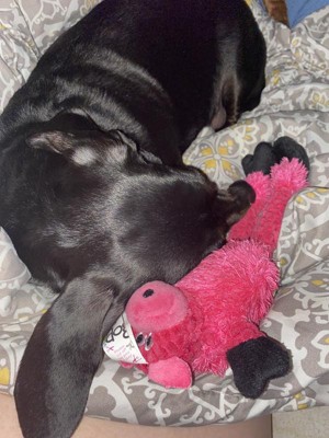 Guest review image 4 of 4, zoom in