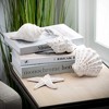 Sullivans 5.25",5.75",4.75" & 5.75" Whitewashed Seashells Set of 4 - 3 of 4