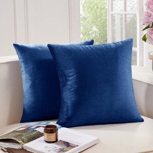 Deconovo Home Velvet Soft Decorative Pillow Covers Invisible Zipper Cushion Cover, 2-Pack - 1 of 4