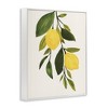 Stupell Industries Simple Yellow Country Lemon Leaf, 24" x 30" - 3 of 4
