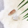 Little Seed Farm All Natural Deodorant Cream, Aluminum Free Deodorant for Women or Men, (2.4 Oz) - Rosemary Patchouli - (PACK OF 2) - 3 of 4