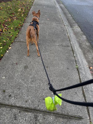 Guest review image 2 of 3, zoom in