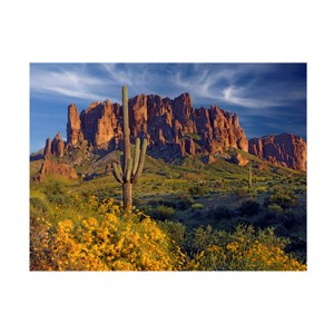 Trademark Fine Art -Mike Jones Photo 'Lost Dutchman flowers' Canvas Art - 1 of 4