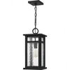 Quoizel Lighting Moira 1 - Light Pendant in  Earth Black - 2 of 4