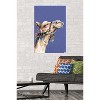 Trends International Snowtap - Camel Photobomb Unframed Wall Poster Prints - 2 of 4