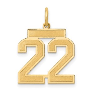 Black Bow Jewelry 14k Yellow Gold, Jersey Collection, Medium Number 22 Pendant - 1 of 4