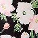 black powder flower